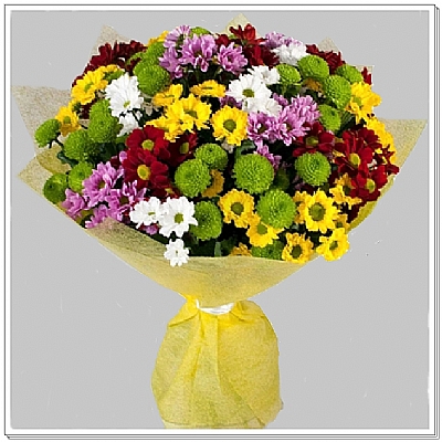 Renkli Papatyalar iek Buketi